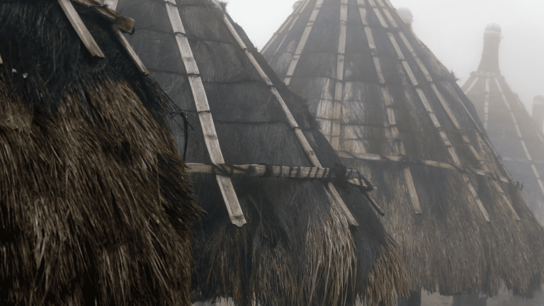 2018 ADIÓS A LA TRIBU