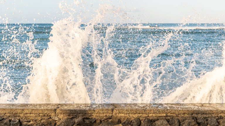 2019 DONDE ROMPEN LAS OLAS